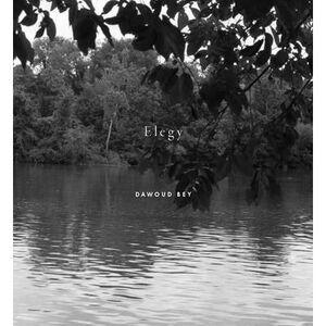 Dawoud Bey: Elegy -- Dawoud Bey